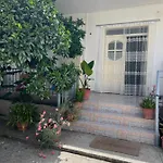 For Rent Habipi 3*
