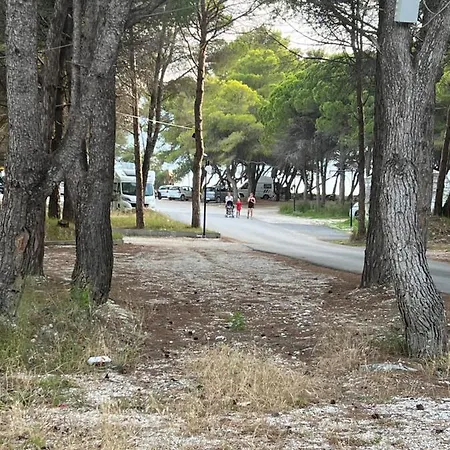 招待所 For Rent Habipi